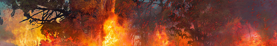 Digitalt målad scendekor till Kungsbyns djurpark, skapad på laj illustration. Tema, Australien. Inzoomad