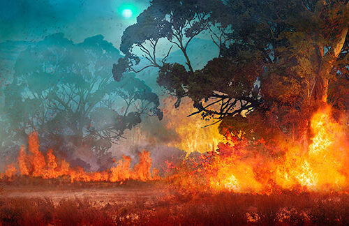 Digitalt målad scendekor till Kungsbyns djurpark, skapad på laj illustration. Tema, Australien.